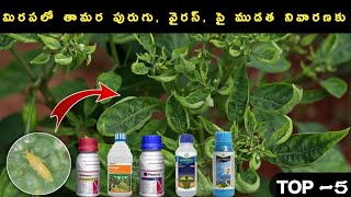 మిరపలో తామర పురుగు వైరస్ పై ముడత నివారణకు syngenta plesivaminto extra syngentacorteva engage [upl. by Ontina]