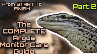 The Complete Argus Monitor Care Guide From Start To Finish  PART TWO Enrichment Feeding RISKS [upl. by Berghoff]