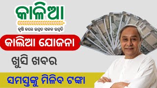 Kalia Yojana New Update 2023Kalia Yojana Big Update 12 December [upl. by Nuahsyt]