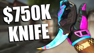 The 10 MOST EXPENSIVE CSGO Skins EVER 750000  TDMHeyzeus [upl. by Leonerd]