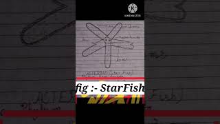 Figure of Star Fish asterias sketch starfish viralfish trending drawingfish fishdraw neet [upl. by Ardnikal]