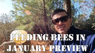 Feeding Bees Preview  colesfarmnc jacksonvillenc beekeeping [upl. by Onibla]