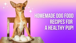 Wholesome Diy Doggy Dinners Homemade Recipes For A Happy Pup [upl. by Nosle]