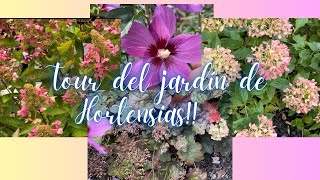 PRIMER RECORRIDO DE SEPTIEMBRE🤩 jardinería jardines flores hortensias tour recorrido jardin [upl. by Ahsenyt990]