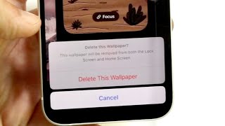 How To Delete Wallpapers On iOS 17 [upl. by Cyd]