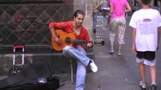 Flamenco Guitar player  le Cathedral Barcelona 2009 [upl. by Acissehc]