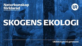 Skogens ekologi förklarad  BIOLOGI  Gymnasienivå [upl. by Jeremias]