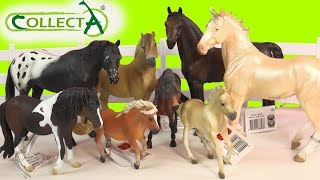 CollectA Horses Mare Foal Pony Stallion Horse Unboxing Review Video HoneyheartsC [upl. by Cressi]