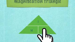 IGCSE 23 Calculating magnification of drawings [upl. by Sturrock]