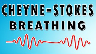 Breathing in Waves Understanding CheyneStokes Respiratory Rhythm [upl. by Ahsietal830]