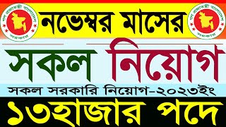 ১৩হাজার পদে নভেম্বর মাসের সকল সরকারি নিয়োগ 2023সরকারি চাকরির নিয়োগgovernment jobSR Job Life [upl. by Enelyak]