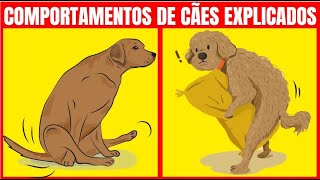 O Significado Por Trás dos 21 Comportamentos Mais Estranhos Dos Cães  Fatos Interessantes [upl. by Ycniuqed]