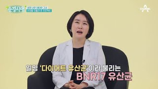 체지방 감소에 도움을 준다는 다이어트 유산균 BNR17의 효능은  순정시대 2 회 [upl. by Dominica]