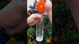 🤪 fruit naturallifeb satisfying naturalclips fruitcutting naturelife food oddlysatisfying [upl. by Bugbee]