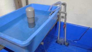 Basic Aquaponics  Siphon Water Test [upl. by Jardena]