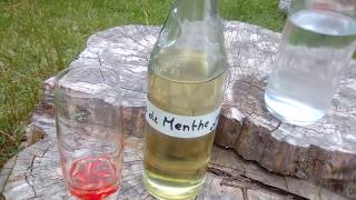 FAIRE SON SIROP DE MENTHE OU DE VERVEINE BIO   RECETTE [upl. by Fricke]