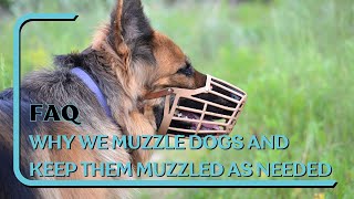 FAQ Why We Muzzle Dogs And Keep Them Muzzled As Long As Needed [upl. by Veator]