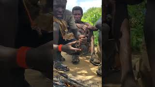 preparation of food Bushmen way [upl. by Atinauj]