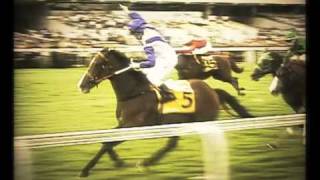 Longines Singapore Gold Cup 2010 Trailer [upl. by Talya]