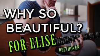 FUR ELISE Beethoven FINGERSTYLE Ukulele TUTORIAL [upl. by Ib290]