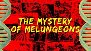 The Mystery of Melungeons [upl. by Azalea]