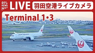 【ライブカメラ】羽田空港 quotT1quot quotT3quot HANEDATokyo International Airport（日テレNEWS LIVE） [upl. by Aivata724]