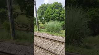 Chale to kat hi jayega safar trainvideo trainjourney [upl. by Enilatan]