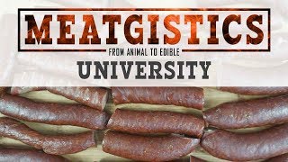 Landjaeger Sausage Recipe  Specialty Sausage 103 [upl. by Nonnahsed642]