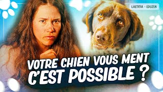 Votre chien peutil être jaloux ou vous mentir   Laetitia Gonnon  Eduzen [upl. by Assir]