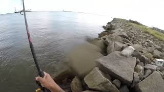 Jetty fishing in Jacksonville [upl. by Noryt]