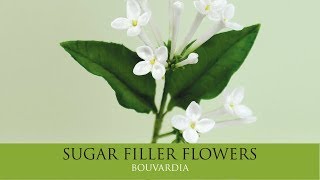 How to Make Bouvardia  Sugar Filler Flowers Part 7 [upl. by Gwenny]