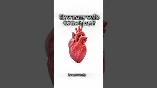 Heart Related questions and answers LearntoStudyy7z [upl. by Eberhart]