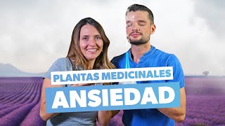 Cómo controlar la ansiedad con plantas naturales [upl. by Ahsiloc]