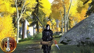 LOTRO Stream Into the Lorien Lothlorien Part 2 [upl. by Nath]