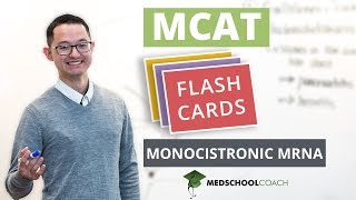 MCAT Flashcard Monocistronic mRNA [upl. by Suivatra707]