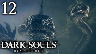 Dark Souls Remastered ᴴᴰ 12  Havel The Rock amp Hydra [upl. by Christensen]