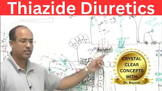 Thiazide Diuretics  Mechanism Of Action  Pharmacology💊 [upl. by Longerich]