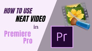 How to use Neat Video in Premiere Pro Quick Start Guide [upl. by Bennion]