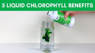 5 Chlorophyll Benefits for Health  Top Liquid Chlorophylls [upl. by Josee]