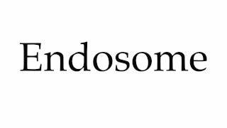 How to Pronounce Endosome [upl. by Biernat]