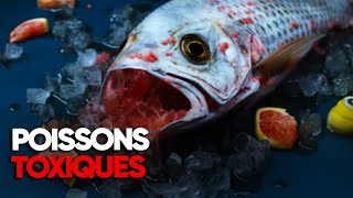 Le poisson estil devenu toxique   Documentaire complet  AMP [upl. by Bultman485]