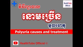 នោមច្រើន មូលហេតុនិងវិធីព្យាបាល l Polyuria causes and treatment l នោមច្រើន l HealthTube Official [upl. by Macintosh]