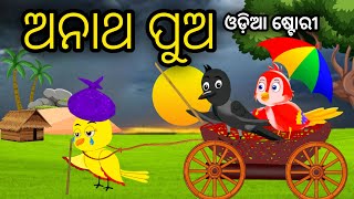 ଅନାଥ ପୁଅ  Anatha Pua  Tiki Chadhei Odia Gapa Odia Bird Story Chadhei gappa Odia Moral story [upl. by Onimod530]