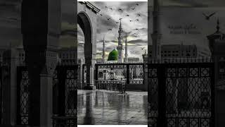 Ek mai he nhi un par qurbaan zamana hai  Islamic short  viral video  best Islamic reels [upl. by Rabi]