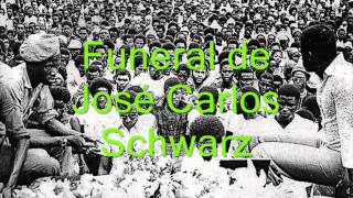 Sucuro José Carlos Schwarz versao reggae de Domingos Joao Braia [upl. by Thom]