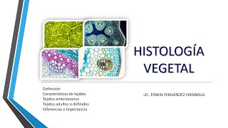 BOTÁNICA Histología Vegetal [upl. by Obocaj]