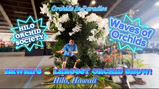 Hawaii’s 🏝️ Largest Orchid Show [upl. by Esinal749]