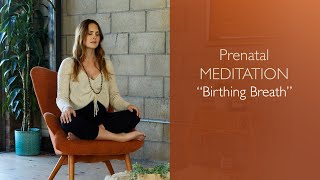 10min Prenatal 3rd Tri quotBirthing Breathquot with Lauren [upl. by Lamprey]