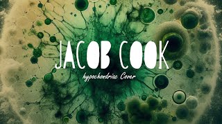 hypochondriac  Brakence Cover by Jacob Cook [upl. by Hosfmann230]