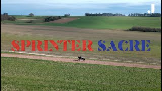 A Ride With Sprinter Sacre  Presented by My Pension Expert [upl. by Sofia]